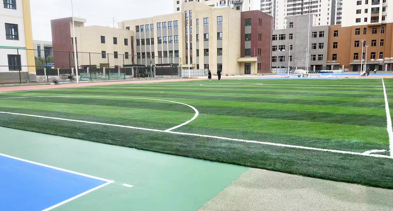 甘肃省兰州市安宁区刘家堡改造项目草坪