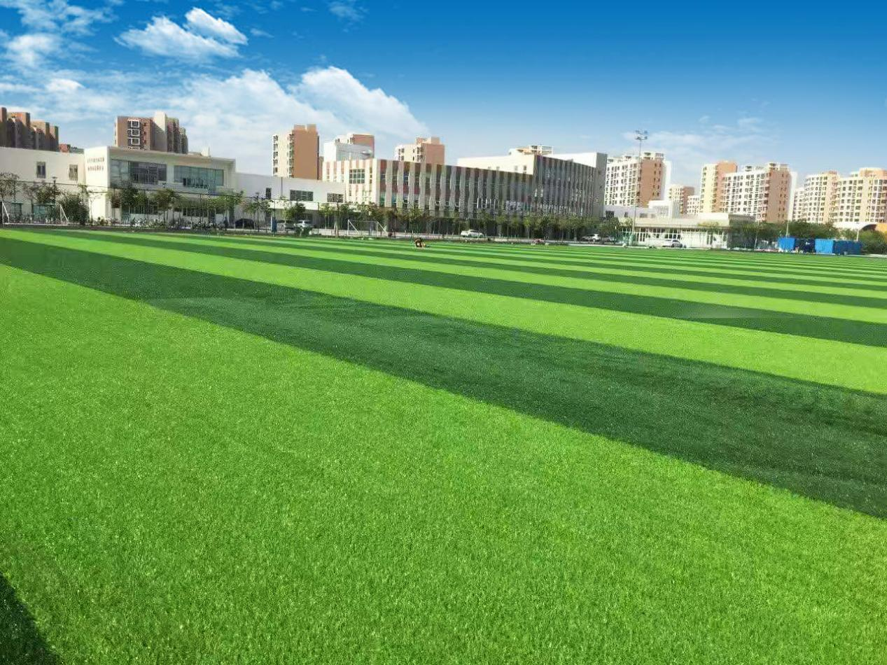 体育建材丨运动场地基础施工时，杂草是否需要彻底清除呢？