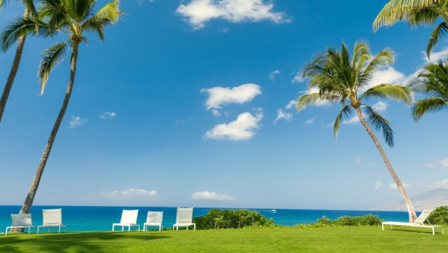 比赛用什么乒乓球台